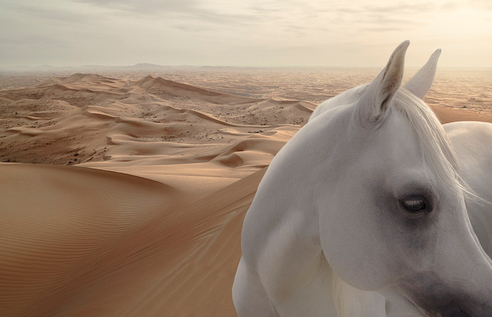 White Horse par Andy Glass